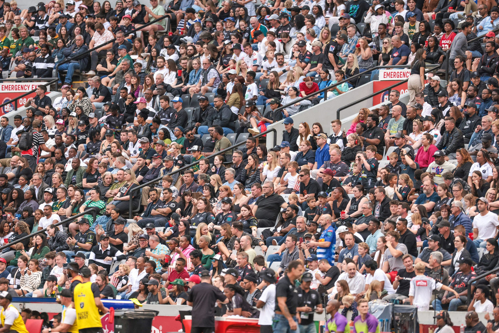 Next Up Stormers