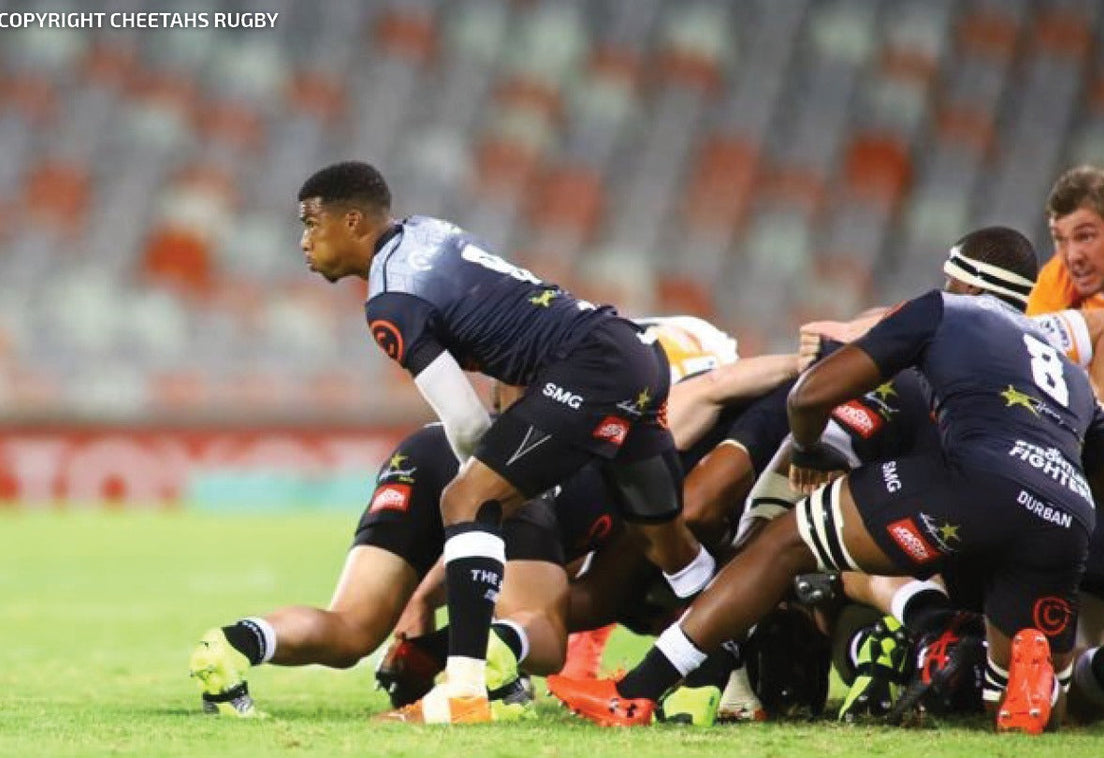 Lions vs Cell C Sharks Match Preview