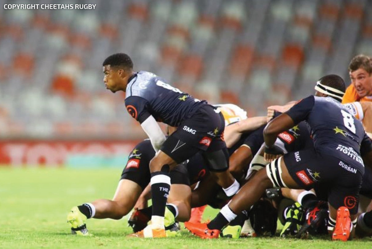 Lions vs Cell C Sharks Match Preview