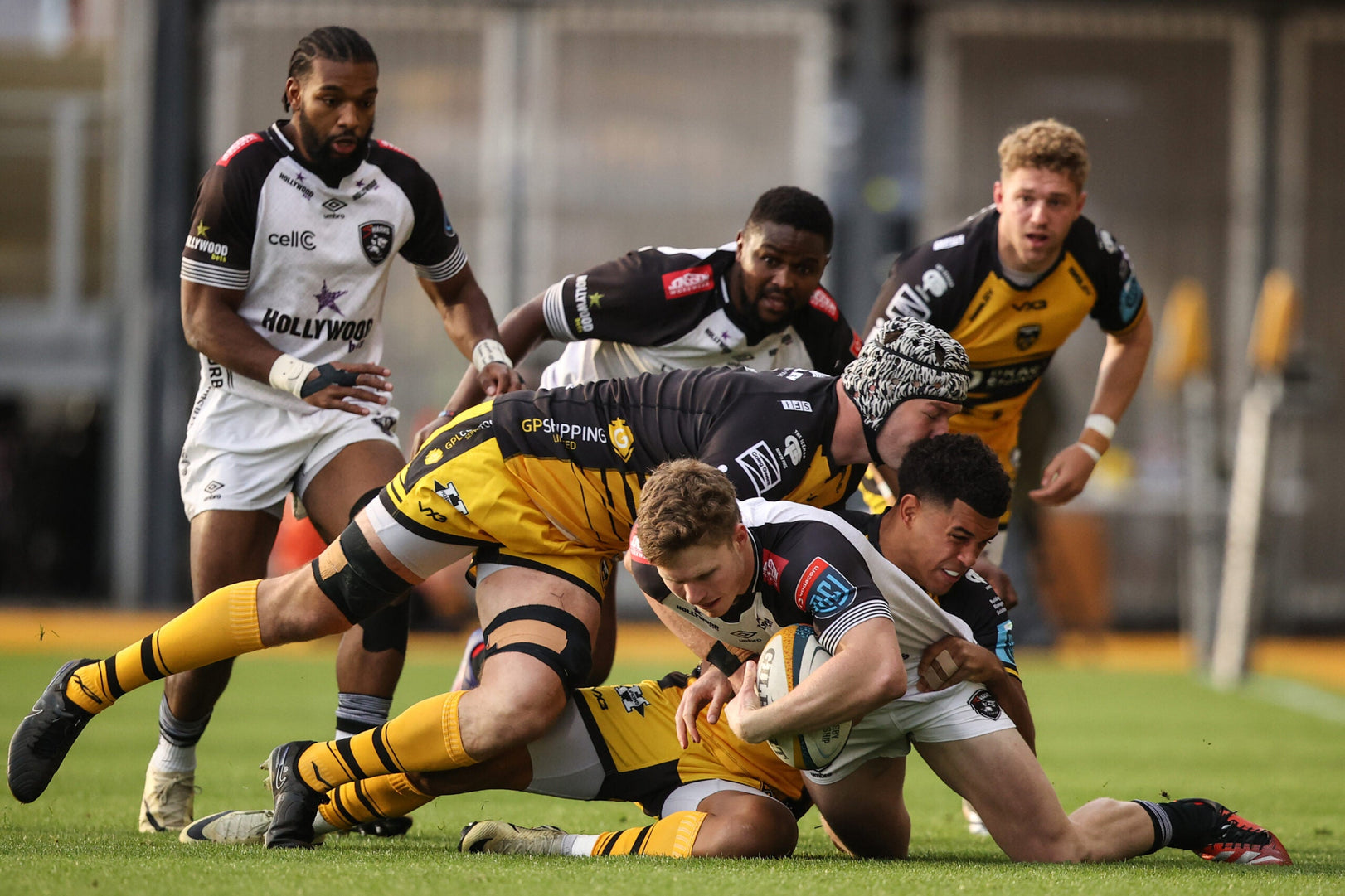 CONQUERORS OF THE CHAMPIONSHIP: THE SHARKS RISE