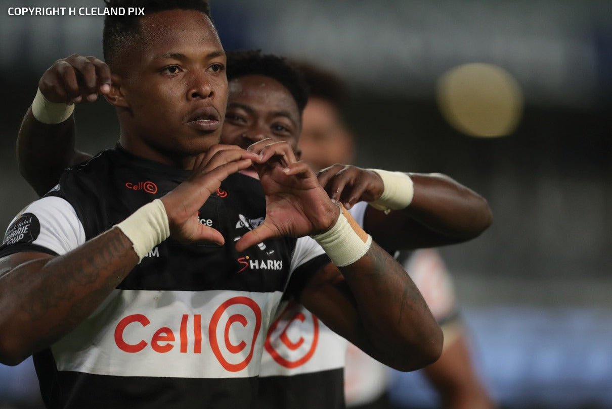 Imperious Sharks Too Good
