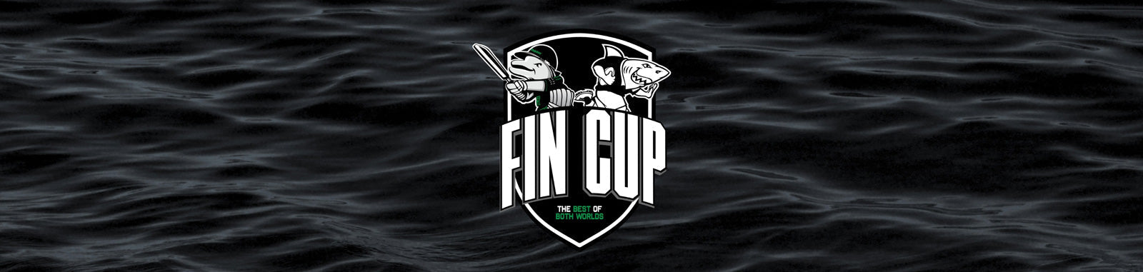 FIN Cup T20 returns to Hollywoodbets Kingsmead after last year's blockbuster success