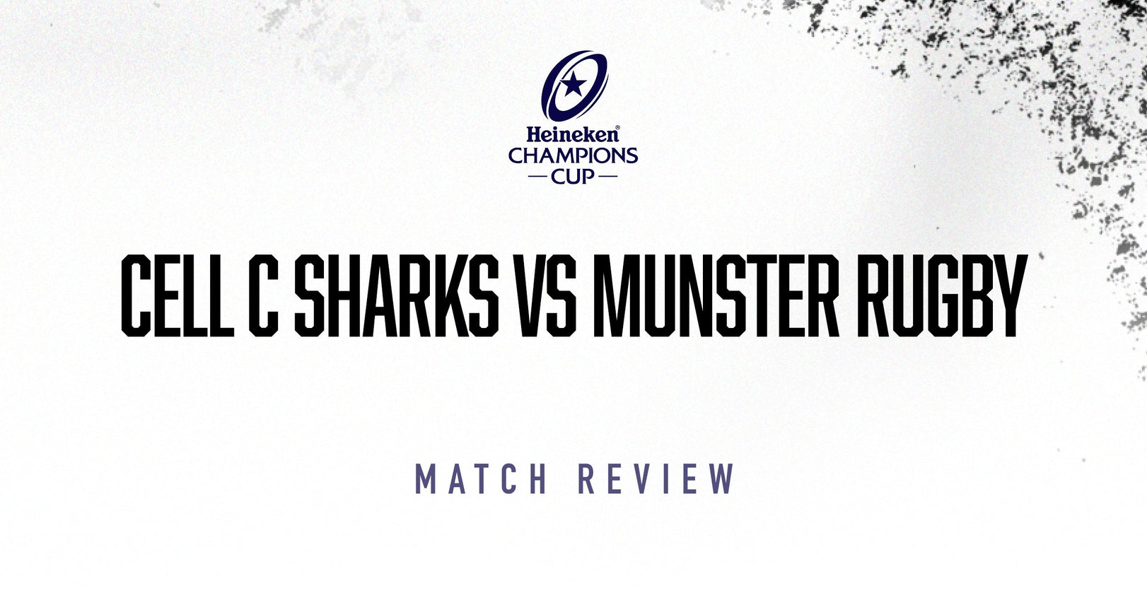 Superb, Spectacular Sharks