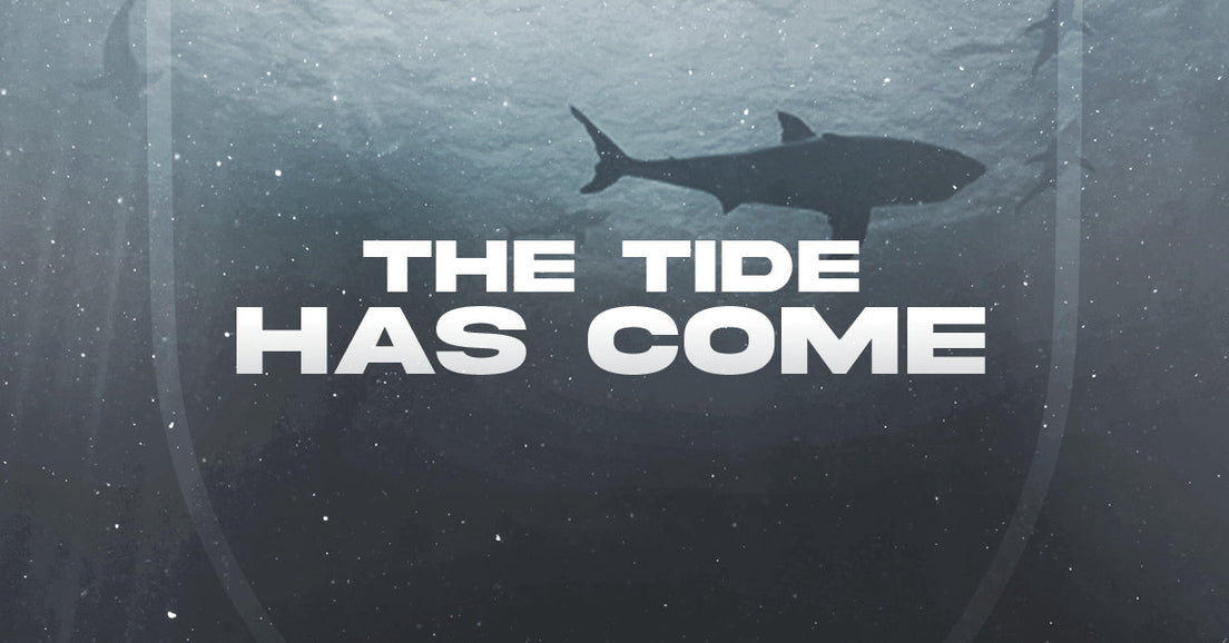 The Sharks Rebrand