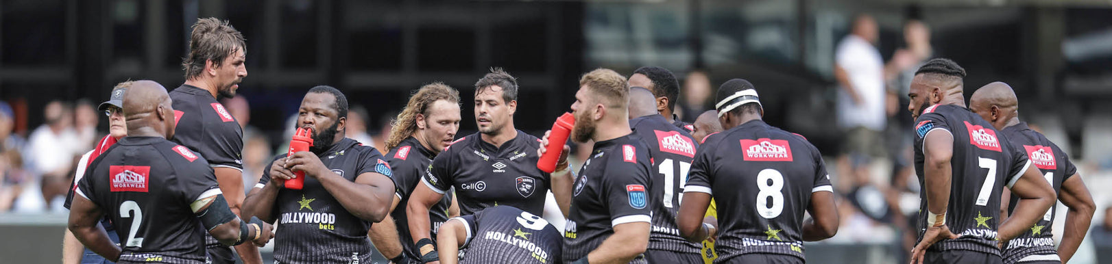 TEAM RELEASE: The Focus is on the Scarlets