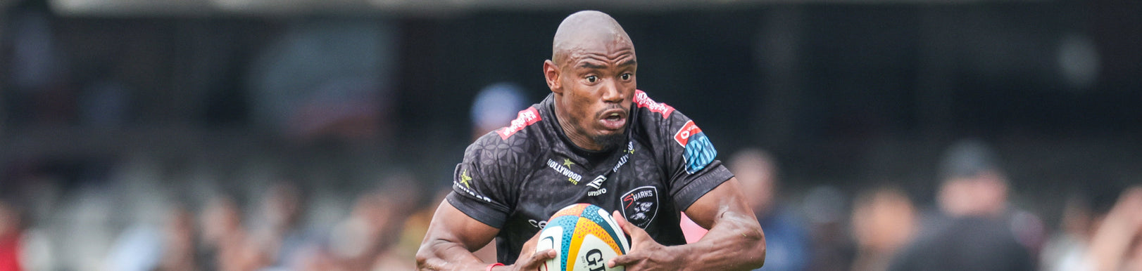 Preview: Hollywoodbets Sharks vs Vodacom Bulls