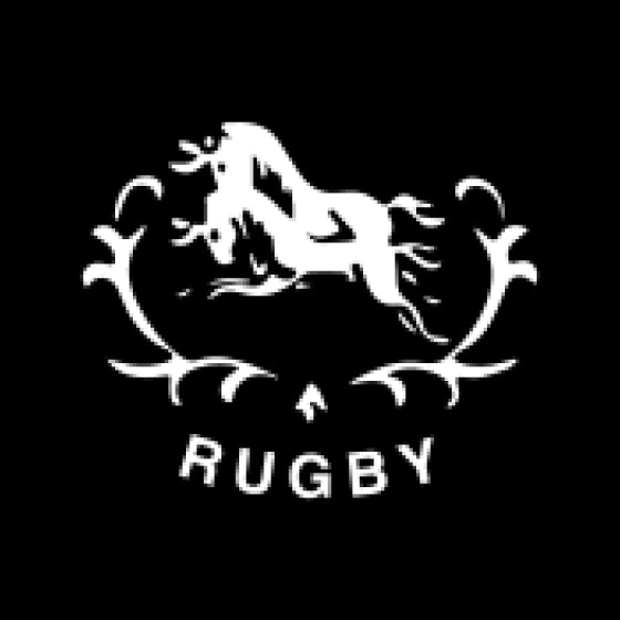 Natal Rugby Union (1890)