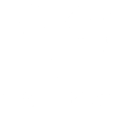 Ospreys