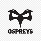 Ospreys